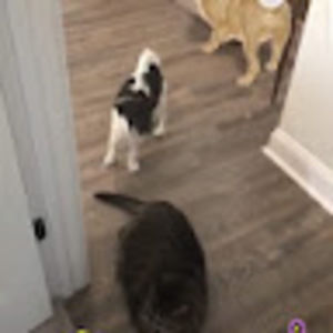 Meet your Posher, Scott